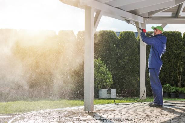 Best Patio and Deck Pressure Washing  in Greensboro, AL