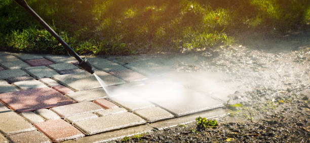 Best Solar Panel Cleaning  in Greensboro, AL