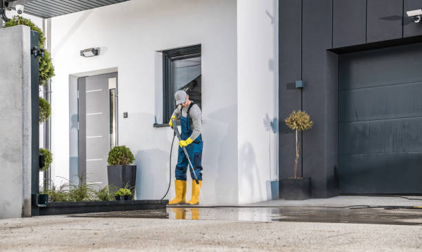 Best Spring Cleaning  in Greensboro, AL